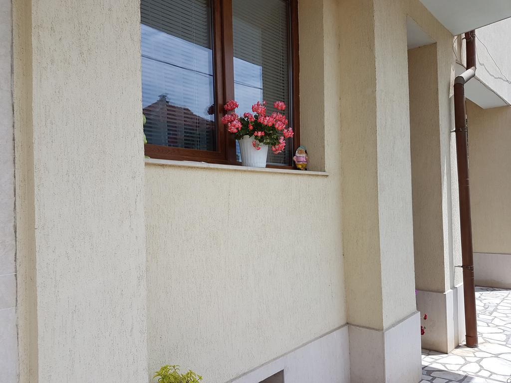 Guest House Markovi אהלוי מראה חיצוני תמונה